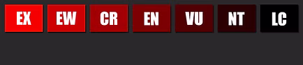 Grado Estinzione.jpg