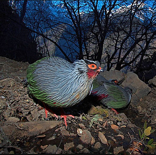 Rocki - Lantsang Mekong river, Kawakarpo Mountain, Meri Snow Mountain National Park, Yunna
