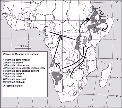 Figura 2 - Distribuzione geografica dei Montani e speronato di Hartlaub, e corridoio arido